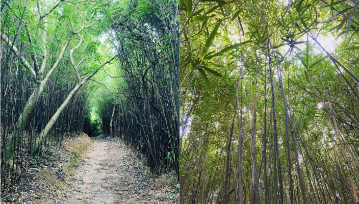 情侶好去處-室外、室內拍拖好去處-蝴蝶輕鐵站